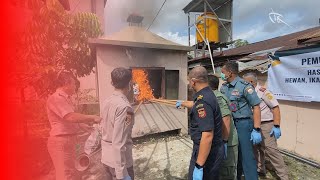Pelanggaran Karantina, Komoditas Pertanian Dimusnahkan