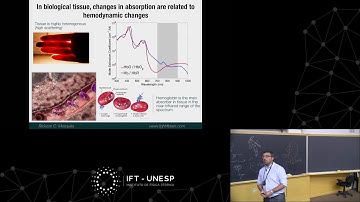 Using neuroimaging techniques to reveal the brain