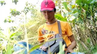 pencarian bambu petuk asli di kebun bambu angker banget