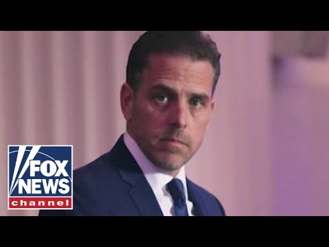 Unearthed messages show Hunter Biden repeatedly used n-word with White lawyer.