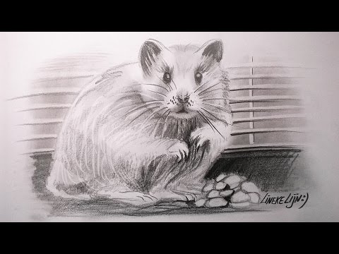 Video: Hoe Om 'n Hamster Met 'n Potlood Te Teken