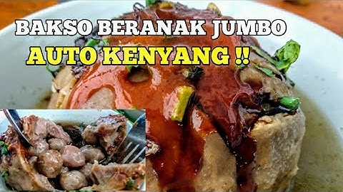 MURAH MERIAH !! BAKSO BERANAK JUMBO | STREET FOOD INDONESIA