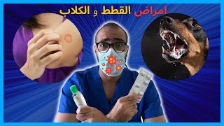 امراض القطط و الكلاب المعدية للانسان | و ازاي نحمي نفسنا من الاصابة