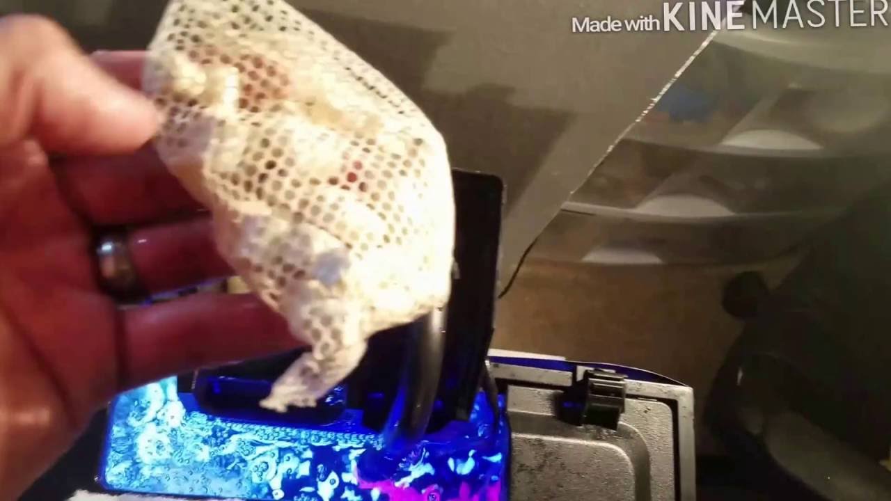 Marineland Penguin Powerfilter 75 Update | 10 Gallon Tank