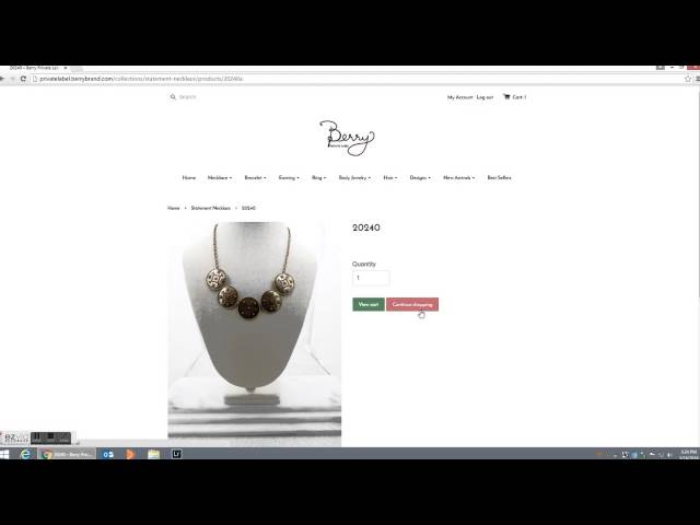 Berry Jewelry - Private Label Site “How-To class=