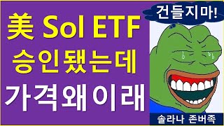 美 최초의 솔라나 