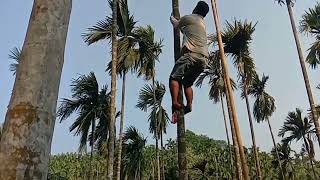 Gue Chara Ona Akenga