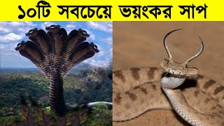 এই সাপ গুলি দেখে ভয়ে ঘাম ছুটে যাবে || World's Most Scariest Snakes screenshot 2