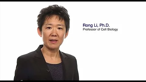 #TomorrowsDiscoveries: From Dysfunctional Cells to Disease – Dr. Rong Li - DayDayNews