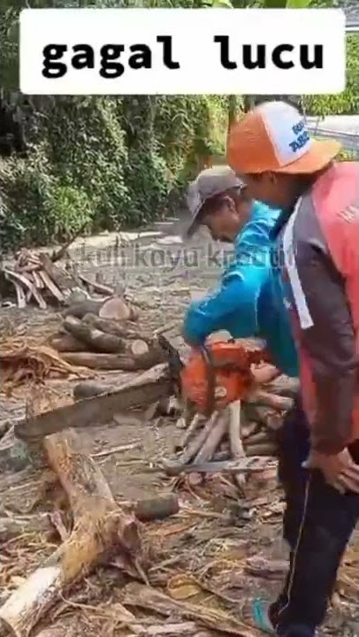 kuli kayu lucu #shorts#fyp #videolucu#fypシ
