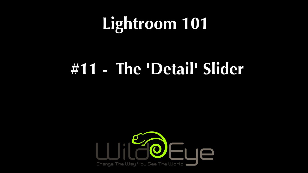 lightroom 101 for beginners lightroom 101 for beginners