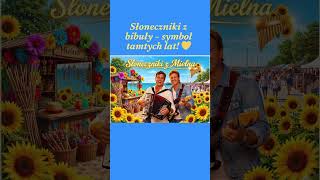 Słoneczniki z Mielna #Lata80 #SłonecznikiZBibuły #Mielno #RJayMelody #RetroVibe #KultowePamiątki