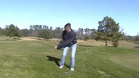 Kelly Sumner Chip Face-on.AVI