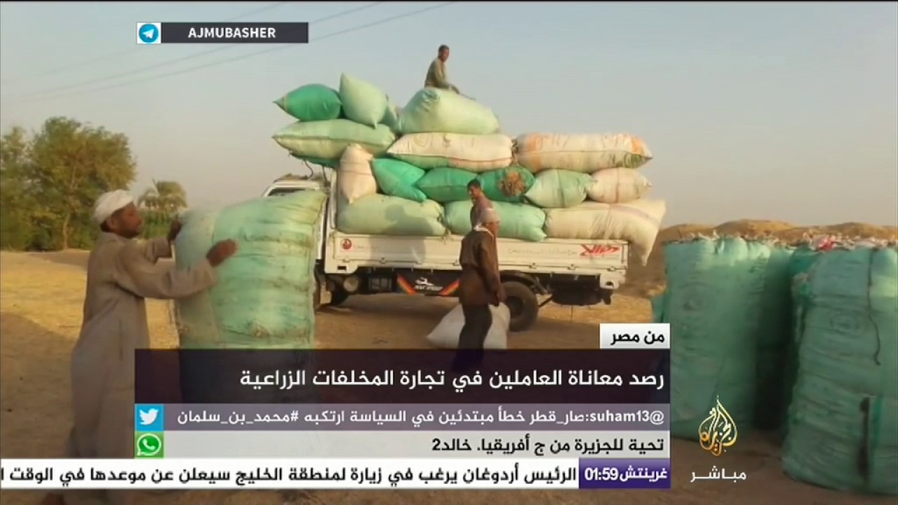 معاناة العاملين في تجارة المخلفات الزراعية بمصر