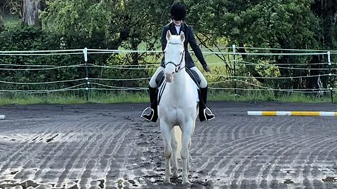 Lillie & Apollo Beginner Novice Dressage Test