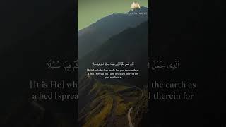 Surah Taha  49  53  Muhammad Ayyub  quran muhammad ayyub recitation