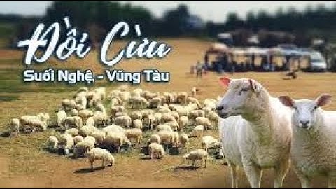 Đồi cừu suối nghệ châu đức - vũng tàu @Phamhieubdsvlog