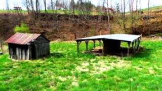 Residential For Sale - 172 Harris Hollow Road, Rogersville, Tn 37857