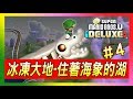 【新超級瑪利歐兄弟U】冰凍大地的隱藏關卡「住著海象的湖」 | New Super Mario Bros. U【Switch】