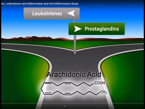 Video: Razlika Između Prostaglandina I Leukotriena