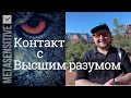 Контакт с высшим разумом. Реальный психоделический опыт