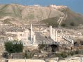 جهاد الجيوسي احلا بلادي فلسطين