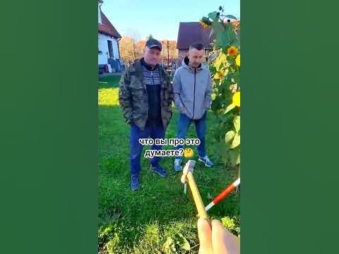 Посадили растения на чужом участке - YouTube