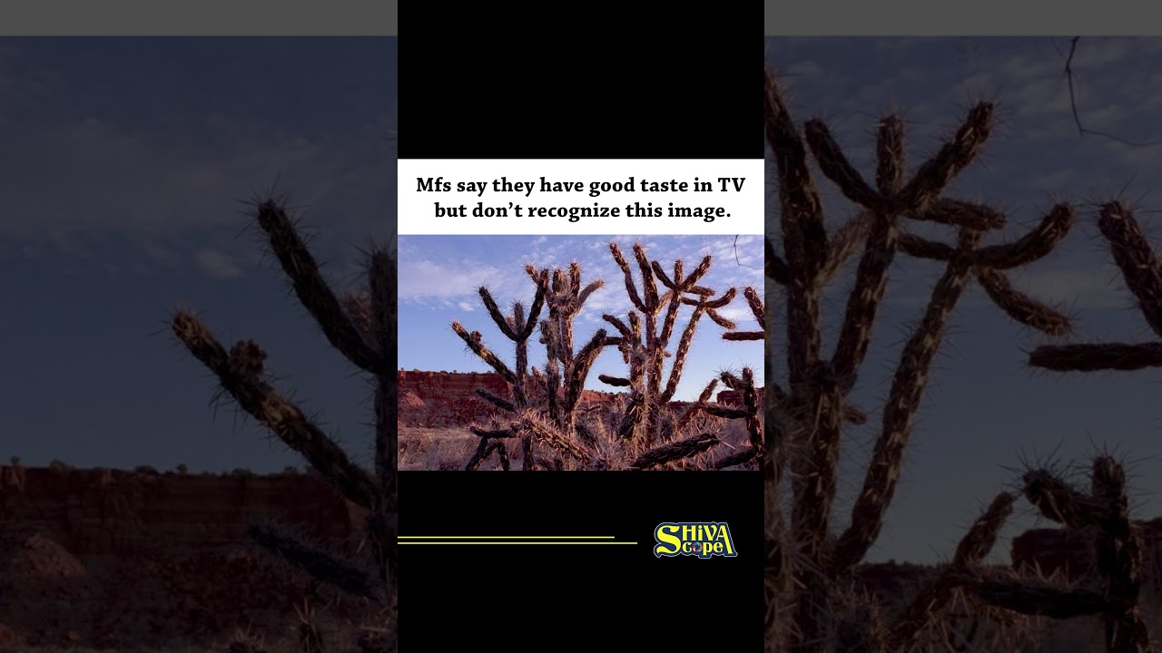 You're goated if you remember this 🫡 