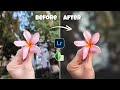 DSLR Level Mobile Photography using SNAPSEED & LIGHTROOM MOBILE!