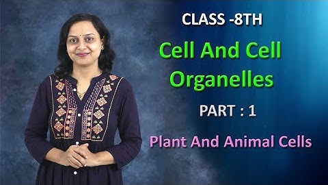 Cell And Cell Organelles | Part 1 | Class 8 | Maharashtra Board