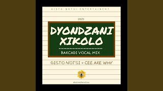 Dyondzani Xikolo (Barcadi Mix)