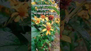 Утренняя мотивация на день #мотивация #пожелания #мотивациянауспех