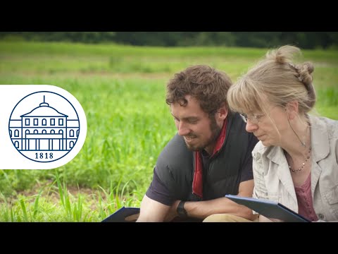 International Master Programmes of the Faculty of Agriculture - University of Hohenheim
