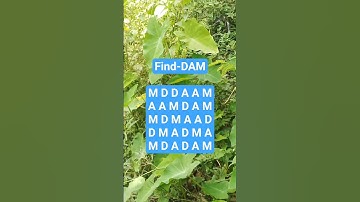 Observation Visual Test: 5 Seconds ForYou To Spot . Try Your Skills! #search #puzzle #shorts