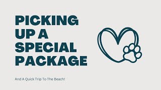Picking Up A Special Package ❤️