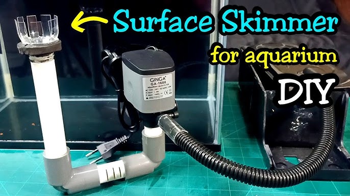 How To Make: DIY Aquarium Filter (Surface Skimmer) 