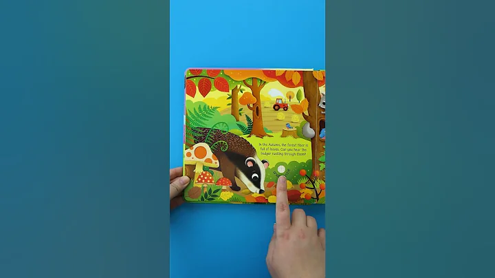 Usborne Sound Books | Seasons Sounds 🌈☂️ - DayDayNews