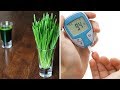 Discover 5 Amazing Health Benefits of Wheatgrass And Grape Fat Mobilizer