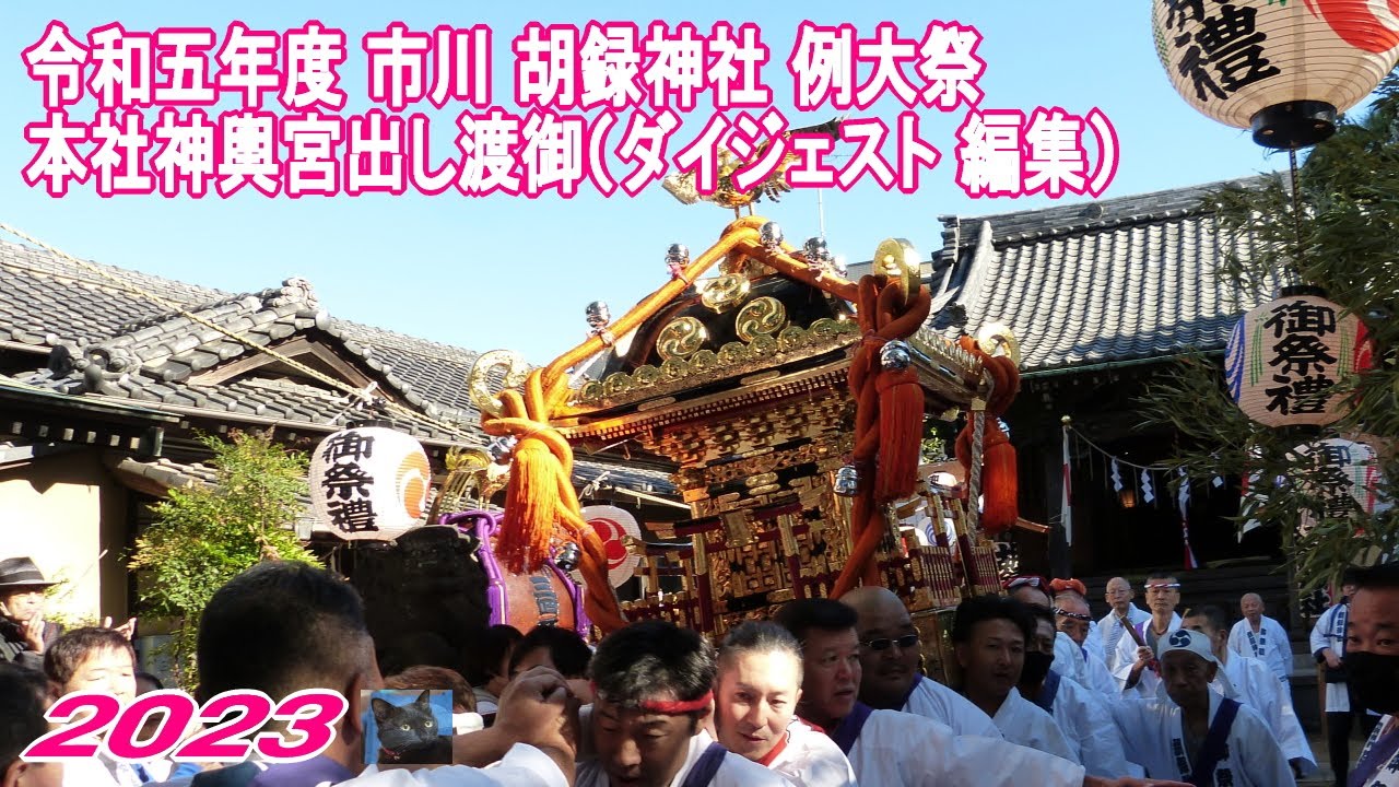 下町神輿 祭りの記録 下町神輿 祭りの記録 RMBMAD6I4NMXJKQ6DGSZNWZS4M.jpg