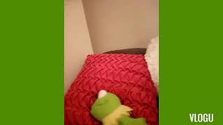 TMS Kermit the frog meets Constantine