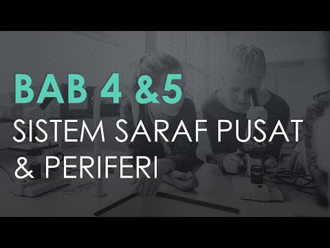 Video: Ahli Sains Saraf Dick Swaab: Pandangan Politik, Pilihan Cinta Dan Kepercayaan Kepada Tuhan Ditulis Dalam Gen Kita - Pandangan Alternatif