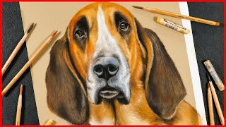 Drawing a Pet Portrait of a Dog in Pastel [with back story] - #StaySafe and draw #WithMe screenshot 5