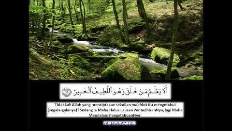 Surah Al Mulk سورة الملك Ustaz nafis yaakub
