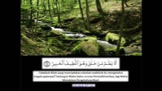 Surah Al Mulk سورة الملك Ustaz nafis yaakub