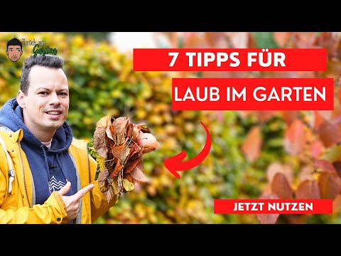 Laub im Garten nutzen  - 7 Tipps um Laub loszuwerden