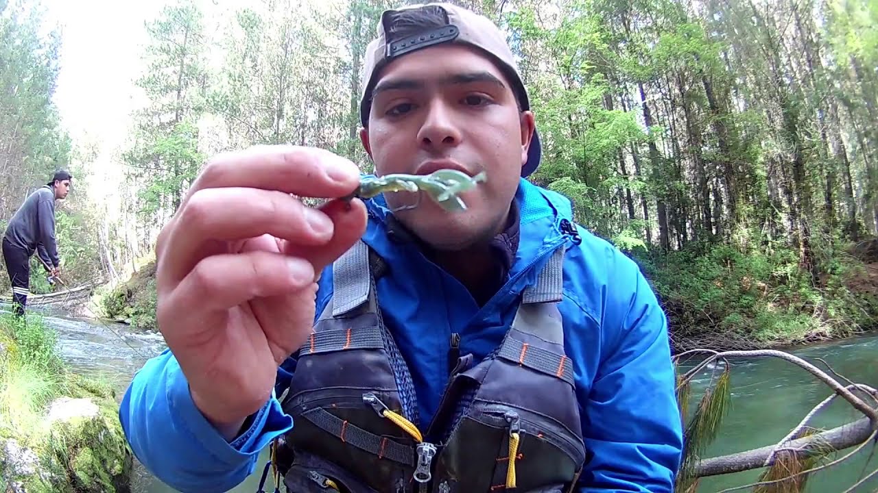 Pesca de Truchas en Río Pilpilco || Los Alamos 2018