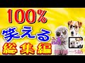 総集編!面白い話 笑える話 朗読 絶対爆笑する話をまとめて朗読しました! 【アニメ】2ch / 5chネタ纏め