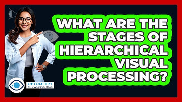 What Are The Stages Of Hierarchical Visual Processing?