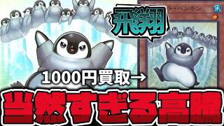 Yu-Gi-Oh!] A miraculous synergy? The versatile penguin 