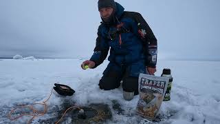 ЧУДСКОЕ ОЗЕРО!!НИНА.ТАКИХ ГОРБЫЛЕЙ Я ЕЩЁ ТАМ НЕ ВСТРЕЧАЛ.ЗИМНЯЯ РЫБАЛКА НА МОРМЫШКУ 2025